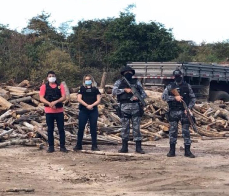  Polícia Civil de Elesbão Veloso realizou prisões em flagrante por Crime Ambiental 
