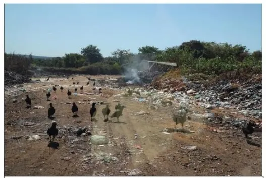 MPPI oferece denúncia contra os prefeitos de Barro Duro, Parnaíba e São Gonçalo do Piauí pela manutenção de lixões irregulares nos municípios