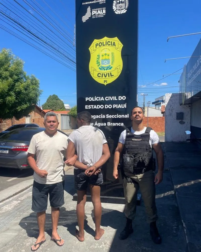Polícia Militar de Agricolândia prende suspeito de diversos furtos e roubos